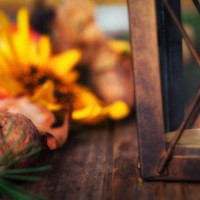 autumn decoration - vintage lantern - garden decoration stock pictures, royalty-free photos & images