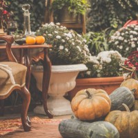 autumn front yard decor - garden decoration stock pictures, royalty-free photos & images
