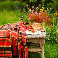 autumn garden. piece of plum cake on the table in the autumn garden - garden decoration stock pictures, royalty-free photos & images