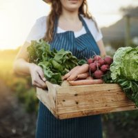 autumn harvest - food stock pictures, royalty-free photos & images