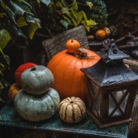 autumn holiday pumpkin arrangement - home decoration stockfoto's en -beelden
