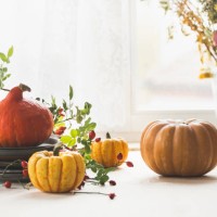 autumn kitchen setting with various orange and yellow pumpkins, rose hip and flower bouquet on white kitchen table at window background with natural light - home decoration stock pictures, royalty-free photos & images