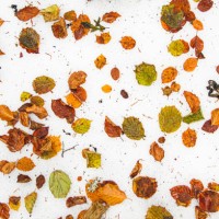 autumn leaves on snow - home decoration stock pictures, royalty-free photos & images