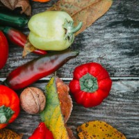 autumn vegetable harvest background - garden decoration stock pictures, royalty-free photos & images
