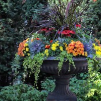 autumnal wonder garden in a vase - garden decoration stock pictures, royalty-free photos & images