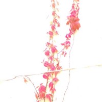 avilés,spain - garden decoration stock pictures, royalty-free photos & images