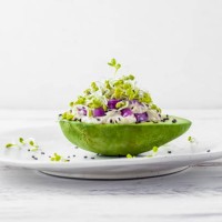 avocado garden stuffed with tuna, mayonnaise, red onion, black sesame seeds and radish sprouts - food stock pictures, royalty-free photos & images
