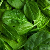 baby spinach - food stockfoto's en -beelden