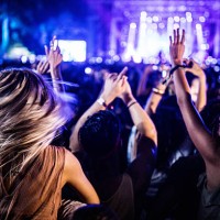 back view of carefree people dancing on music concert by night. - concert stock pictures, royalty-free photos & images