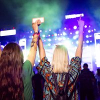 back view of carefree women having fun on a music festival by night. - concert stock pictures, royalty-free photos & images