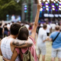 back view of embraced couple on music concert. - concert stock pictures, royalty-free photos & images