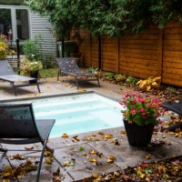 back yard in the fall - garden decoration stock pictures, royalty-free photos & images