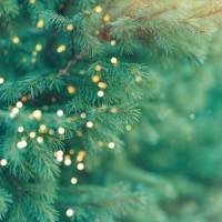 background from branches of christmas tree with burning lights from garland - garden decoration stock pictures, royalty-free photos & images