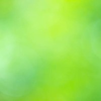 background from nature forest - garden decoration stock pictures, royalty-free photos & images