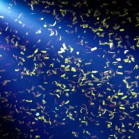 background image of stage of concert in color lights with ribbon - concert stock pictures, royalty-free photos & images