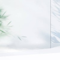 background made of many green plant leaves behind frosted glass and shadows on the white wall. perfect backdrop for showing your products. three dimensional illustration - home decoration stockfoto's en -beelden