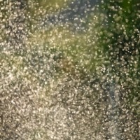 backlit spray from garden sprinkler - garden decoration stock pictures, royalty-free photos & images