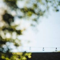 backyard green leaf bokeh with string lights and blue sky - garden decoration stock pictures, royalty-free photos & images