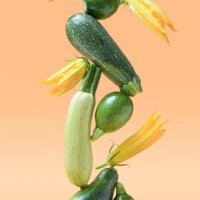 balance with green zucchini vegetables on beige background. healthy food and life balance concept. - food stock pictures, royalty-free photos & images
