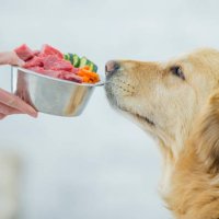 balanced diet - food stock pictures, royalty-free photos & images