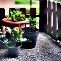 balcony with plants and small wooden detached - garden decoration stock pictures, royalty-free photos & images
