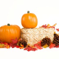 bale of hay, pumpkins, pine cones and leaves on white - home decoration stockfoto's en -beelden