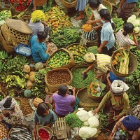 bali, ubud, produce market, overhead view - food stock pictures, royalty-free photos & images
