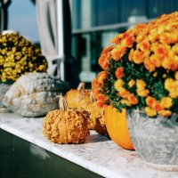 baltimore during covid-19 - garden decoration stock pictures, royalty-free photos & images