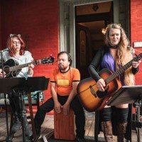 band performing outdoor - concert stock pictures, royalty-free photos & images