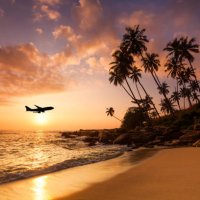 beach at sunset and a flying plane. summer vacation on tropical resort - travel stock pictures, royalty-free photos & images