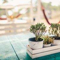 beach cafe table with fresh flower pot on it - garden decoration stock pictures, royalty-free photos & images