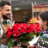 bearded gardener works in greenhouse, man and girl with plan - garden decoration stock pictures, royalty-free photos & images