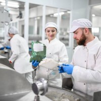 bearded male worker in food processing plant using female's help to prepare cottage cheese for peppers - food stock pictures, royalty-free photos & images