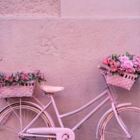 beautiful city bike decorated with basket of pink flowers fully painted pink. pink wall background. vertical front shoot - garden decoration stock pictures, royalty-free photos & images