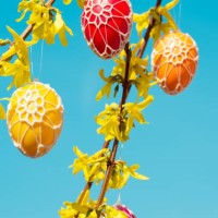 beautiful easter eggs hanging from a blooming forsythia - garden decoration stock pictures, royalty-free photos & images