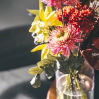 beautiful exotic flower bouquet with chrysanthemum and daisies in a transparent glass vase - garden decoration stock pictures, royalty-free photos & images
