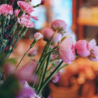 beautiful flowers at florist shop display - garden decoration stock pictures, royalty-free photos & images