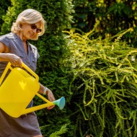 beautiful mature woman in a garden watering flowers - garden decoration stock pictures, royalty-free photos & images