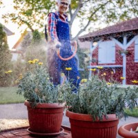 beautiful mature women watering garden - garden decoration stock pictures, royalty-free photos & images