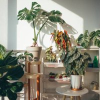beautiful plants in balcony - garden decoration stock pictures, royalty-free photos & images