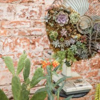 beautiful succulent plants as decorations on an abandoned electric fan - garden decoration stock-fotos und bilder