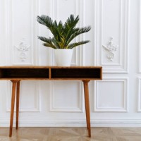 beautiful vase with plants. ceramic pot on a wooden table. home indoor plants. beautiful aesthetic interior. minimalism in the interior. a beautiful palm tree in pot on white background - home decoration stock pictures, royal