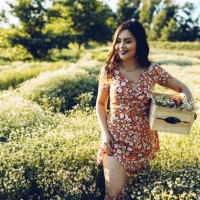 beauty and chamomile field - garden decoration stock pictures, royalty-free photos & images