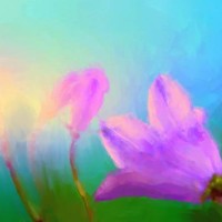 bellflowers - garden decoration stock illustrations