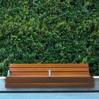 bench against plants decorated wall - garden decoration stock pictures, royalty-free photos & images