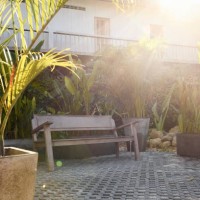 bench in a tropical home garden - garden decoration stock pictures, royalty-free photos & images