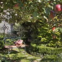 bench under apple tree in lush garden - garden decoration stock pictures, royalty-free photos & images