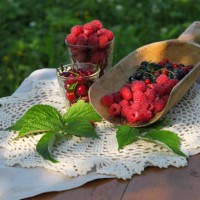 berries red black currants raspberries cherries on linen napkin on wooden table on grass background - garden decoration photos et images de collection