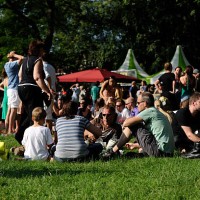 besucher des festival wereldfeest in utrecht - concert stock-fotos und bilder