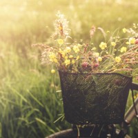 bicycle in the field with basket of wildflowers. - garden decoration stock pictures, royalty-free photos & images